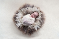 <p>Newborn baby ingewikkeld in mand gelegd. Narurel kleuren (cr&egrave;me, beige, bruin)</p>
